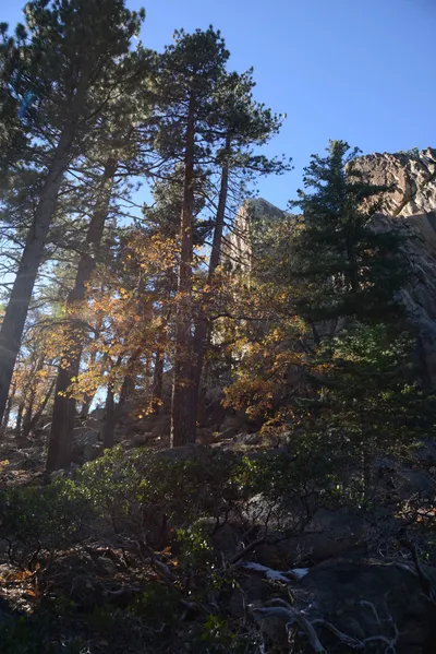 DSC_5156 (Large).JPG